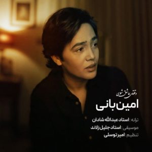 دانلود آهنگ امین بانی وقتی عاشق شوی (بهترین کیفیت) + متن اهنگ