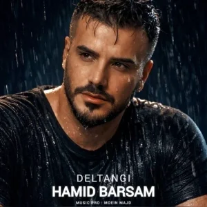 دانلود آهنگ حمید برسام به نام دلتنگی + متن آهنگ