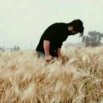 دانلود آهنگ علی سورنا به نام جاویدنامان